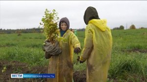 Карбоновая долина: специальная ферма для мониторинга парниковых газов появится под Череповцом