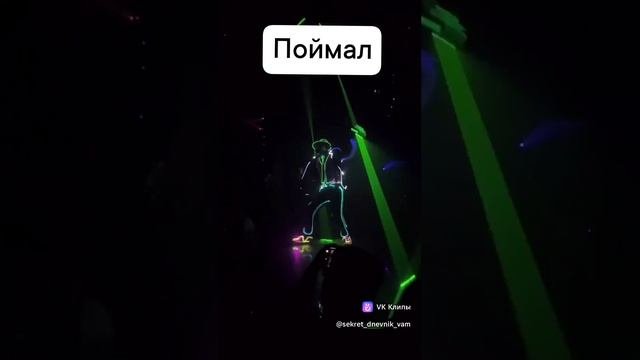 Show