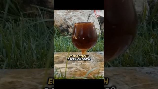 Фильмы для всей семьи