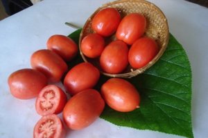 ОБЗОР САМЫХ УРОЖАЙНЫХ ТОМАТОВ ДЛЯ ЦЕЛЬНОПЛОДНОГО КОНСЕРВИРОВАНИЯ.