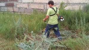 Мотокоса Ryobi RBC 254 FC в работе.3gp