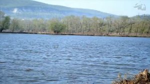 Природа Самарского края