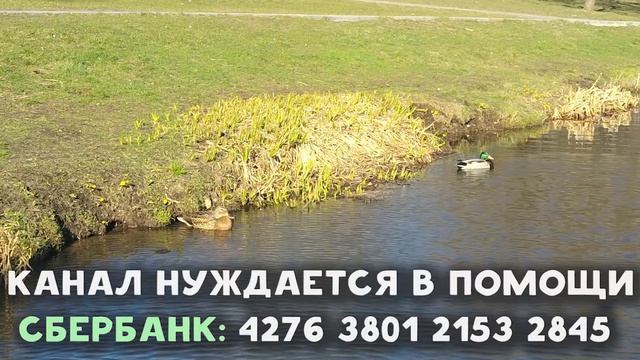 ПРИЧИНЫ БОЛЕЗНЕЙ Духовных и Телесных? - Преподобный авва Дорофей. Почему мы всё время болеем смотреть онлайн