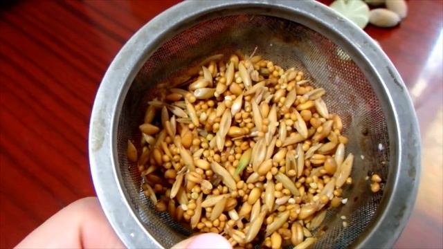 Готовим ПРОРОСТКИ для попугая. Пророщенный корм. смотреть онлайн