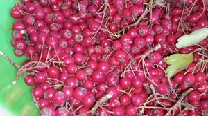 Сегодня варила варенье из боярышника,это очень просто и  очень вкусно??
