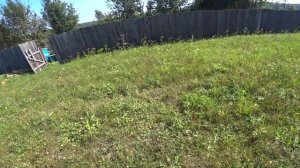 Обзор и тест газонокосилки Hammer kmt 173 gtr