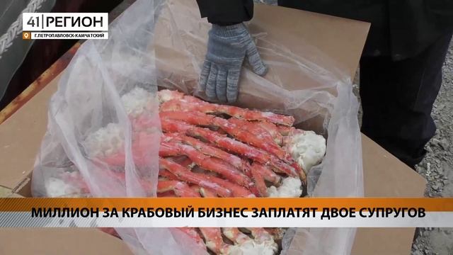 Новости Камчатки за 08 сентября 2023 года