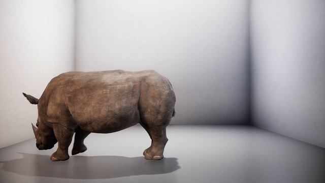 The London Royal Academy Sudan Rhino Presentation смотреть онлайн