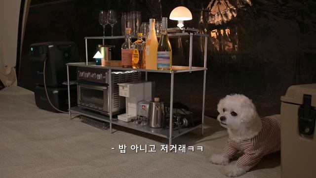 만족도 최상! 없는 게 없는 호텔급 세팅으로 겨울 마지막 장박ㅣ매일매일이 호캉스📽️🍻블루에티 파워뱅크
