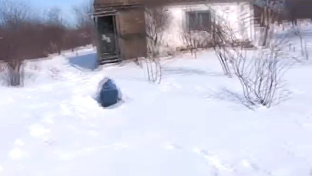 12.03.2006 Женя у Игоря в саду смотреть онлайн