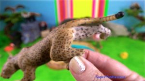 Chinese Animals - Leopard, Red Panda, Alligator, Wolf 13+