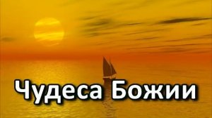 Чудеса Божии. Беседа. Проповедь. МСЦ ЕХБ.