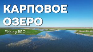 КАРПОВОЕ ОЗЕРО #РЫБАЛКА