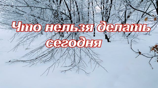 25 февраля. АЛЕКСЕЕВ ДЕНЬ.Почему нельзя рассказывать сны