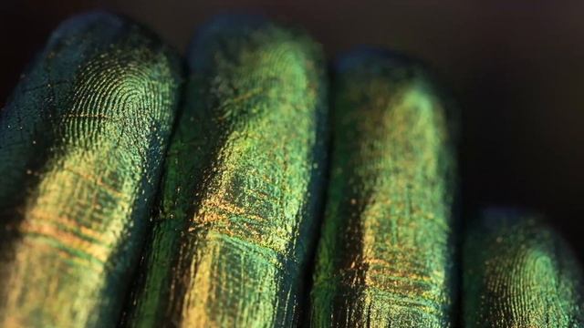 Крылатая Чужеземка смотреть онлайн