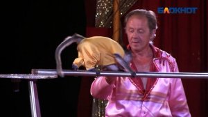 Яркое шоу и море эмоций подарит цирк шапито