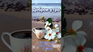 С добрым летним утром, Друзья!(Мини-сборник)