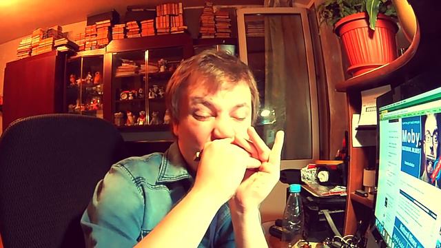 Moby"Natural blues"  Harmonica cover. Губная гармошка. смотреть онлайн