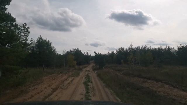 ЕДЕМ ЗА ГРИБАМИ, НЕМНОГО ПОИСКА С МД... смотреть онлайн