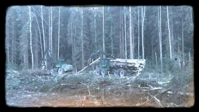 Работа лесного комплекса.(Харвестер, Форвардер)