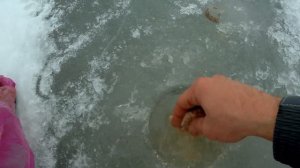 Зимняя рыбалка на Цимлянском Водохранилище. 2 февраля 2019. Часть 1