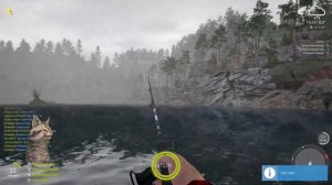 Russian fishing 4: Стрим #22 Кот на Куори (300 серы)