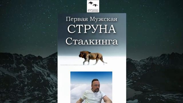 Первая Мужская струна СТАЛКИНГА
