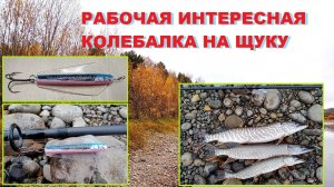 Рыбалка интересной колебалкой на щуку!