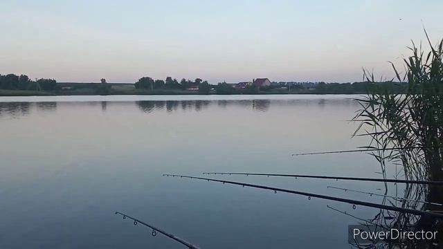 Толстолоб килушник. Рыбалка с ночёвкой. смотреть онлайн