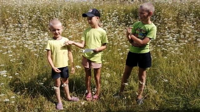 ВОПРОС - ОТВЕТ
