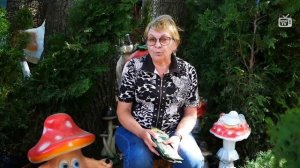 Как посадить грибы на даче ? ? #Грибы сад огород