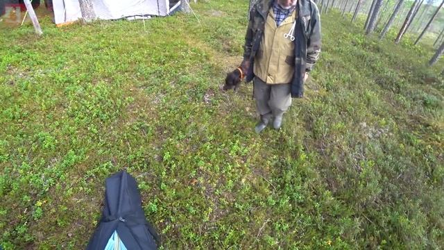 Рвем когти! Трансмиссию! Вездеходы идут на ЮГ! #герасимшерп смотреть онлайн