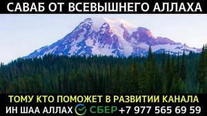 Красивое Дуа | на каждый день | Дуа для всех