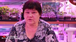НЕ СЕЙТЕ КАПУСТУ ПОКА НЕ ПОСМОТРИТЕ ЭТО ВИДЕО! Посадка капусты. Капуста на рассаду.
