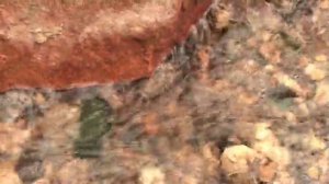 Святой источник. Село Терпенье, Мелитопольский район