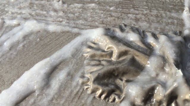 Смывка краски с багажника е30 смотреть онлайн