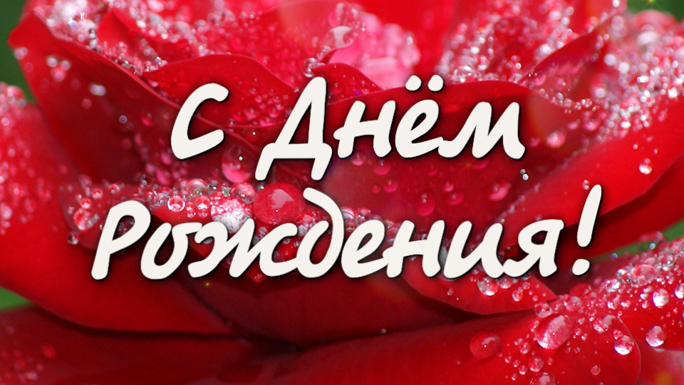 С Днём Рождения! Поздравляю!