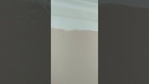 Как покрасить стены и не запачкать багеты