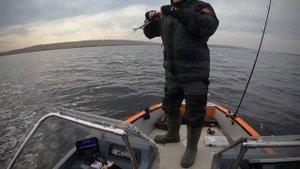 Рыбалка в начале октября на Волге. Чебоксарское вдхр, устье р.Ветлуга