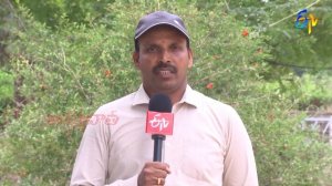 తెలంగాణకు అనువైన ఖరీఫ్ వరి రకాలు Kharif paddy varieties for Telangana #longduration #medium #short