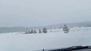 Поездка в Удмуртский питомник ЗСЛ. На испытания.