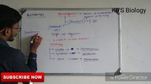 Bacteria | microorganisms in hindi