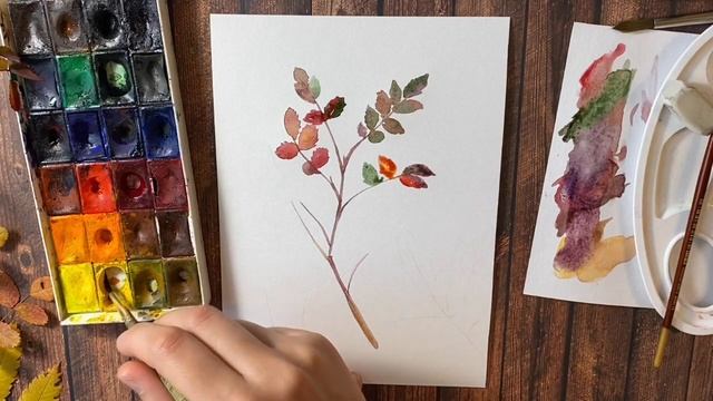 Рисовать может каждый! Осенние веточки акварелью. Поэтапное рисование смотреть онлайн