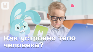 Как устроено тело человека? (3+ лет) | Yutu Play