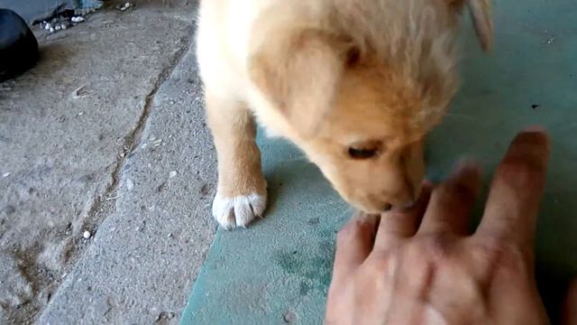 Милота зашкаливает