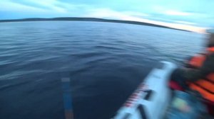 Поездка за треской. Морская рыбалка на Белом море.