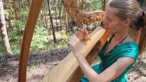 Арфа и флейта в лесу на 154км