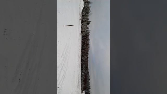 Мотособака 15лс 2 смотреть онлайн