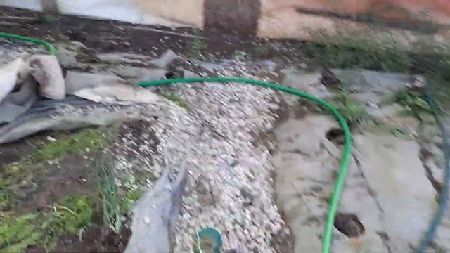 25 сентября 2022 г.Крымская жизнь!Все идёт по плану! смотреть онлайн