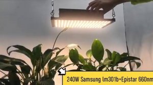 Quantum board 120 W samsung LED свет для растений